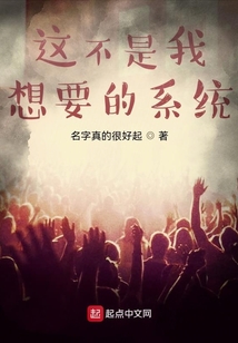 這不是我想要的系統！