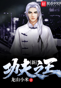 New King of Kung Fu cover