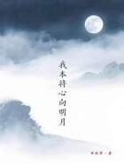 我本将心向明月在线阅读