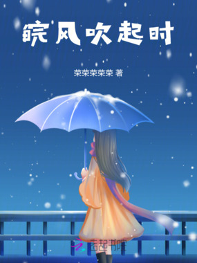 皖风吹起时在线阅读