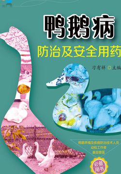 鸭鹅病防治及安全用药 封面