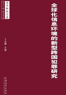 全球化信息環境中的新型跨國犯罪研究