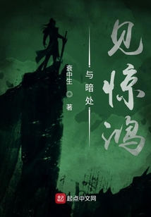 與暗處見驚鴻