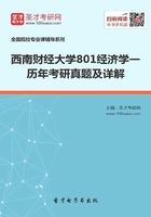 西南财经大学801经济学一历年考研真题及详解