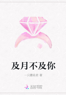 及月不及你