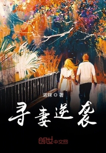 尋妻逆襲