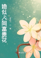 她似人間富貴花在線閱讀