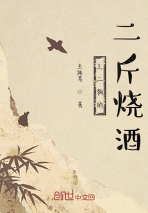 王二狗的二斤燒酒