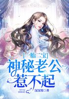 一胎二宝:神秘老公惹不起