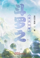 斗罗之龙凤剑琴在线阅读