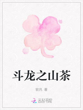 斗龙之山茶在线阅读