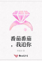 番茄番茄，我追你在線閱讀