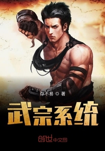 武宗系统