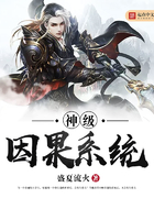 神级因果系统在线阅读