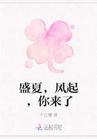 盛夏,风起,你来了在线阅读
