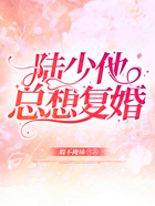 陸少他總想復(fù)婚在線閱讀