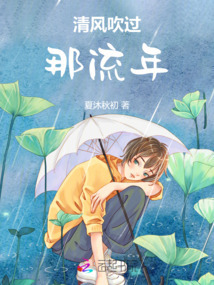 清風(fēng)吹過那流年