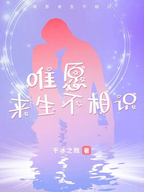 唯愿来生不相识在线阅读