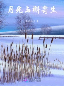 Moonlight and Mistletoe