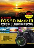 Canon EOS 5D Mark Ⅲ数码单反摄影实拍攻略在线阅读