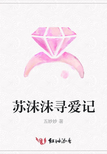 苏沫沫寻爱记