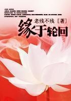 緣于輪回在線閱讀
