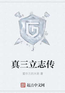 真三立志传