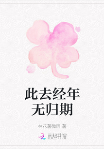 此去經年無歸期