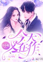 辛小姐今天又在作在線閱讀