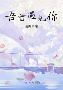 吾曾遇見你