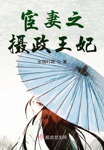 宦妻之?dāng)z政王妃