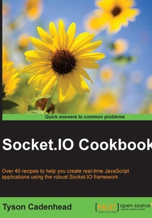 Socket.IO Cookbook
