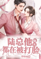 陸總他每天都在被打臉在線閱讀