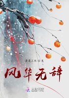 风华无辞