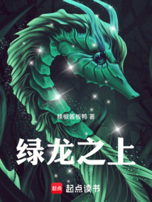 綠龍之上