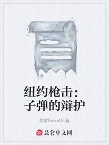 紐約槍擊：子彈的辯護