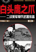 白头鹰之爪：二战美军单兵武器装备（第二版）