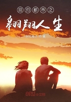 回歸都市之翱翔人生在線閱讀