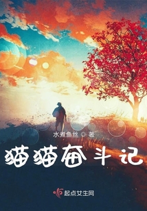 貓貓奮斗記