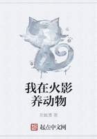 我在火影养动物