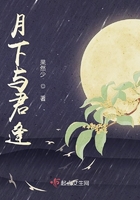 月下與君逢在線閱讀