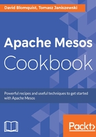 Apache Mesos Cookbook在线阅读