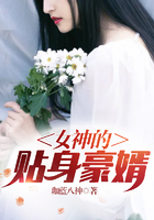 女神的貼身豪婿在線閱讀