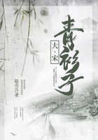 大宋青衫子在線閱讀