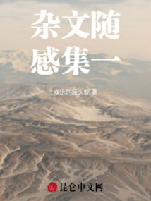 雜文隨感集一