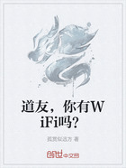 道友,你有WiFi吗?在线阅读