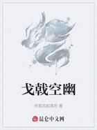 戈戟空幽在线阅读