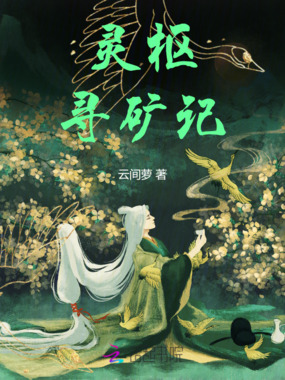 灵枢寻矿记在线阅读