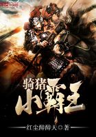 騎豬小霸王在線閱讀