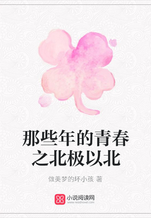 那些年的青春之北極以北